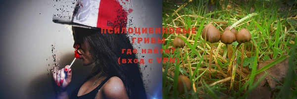 гидра Балабаново